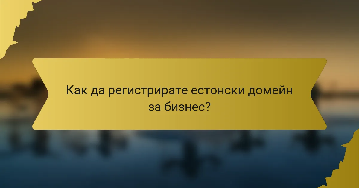 Как да регистрирате естонски домейн за бизнес?