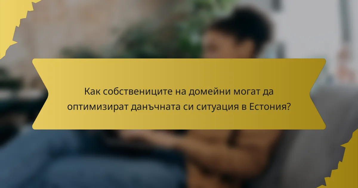 Как собствениците на домейни могат да оптимизират данъчната си ситуация в Естония?