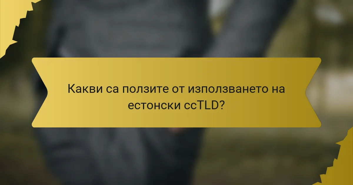 Какви са ползите от използването на естонски ccTLD?