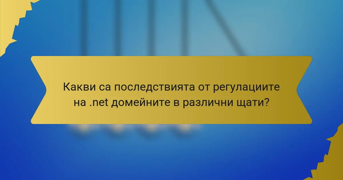 Какви са последствията от регулациите на .net домейните в различни щати?