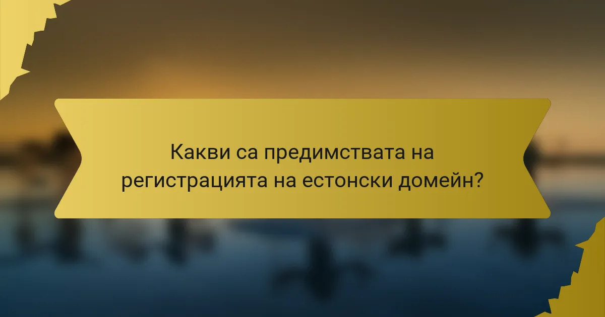 Какви са предимствата на регистрацията на естонски домейн?