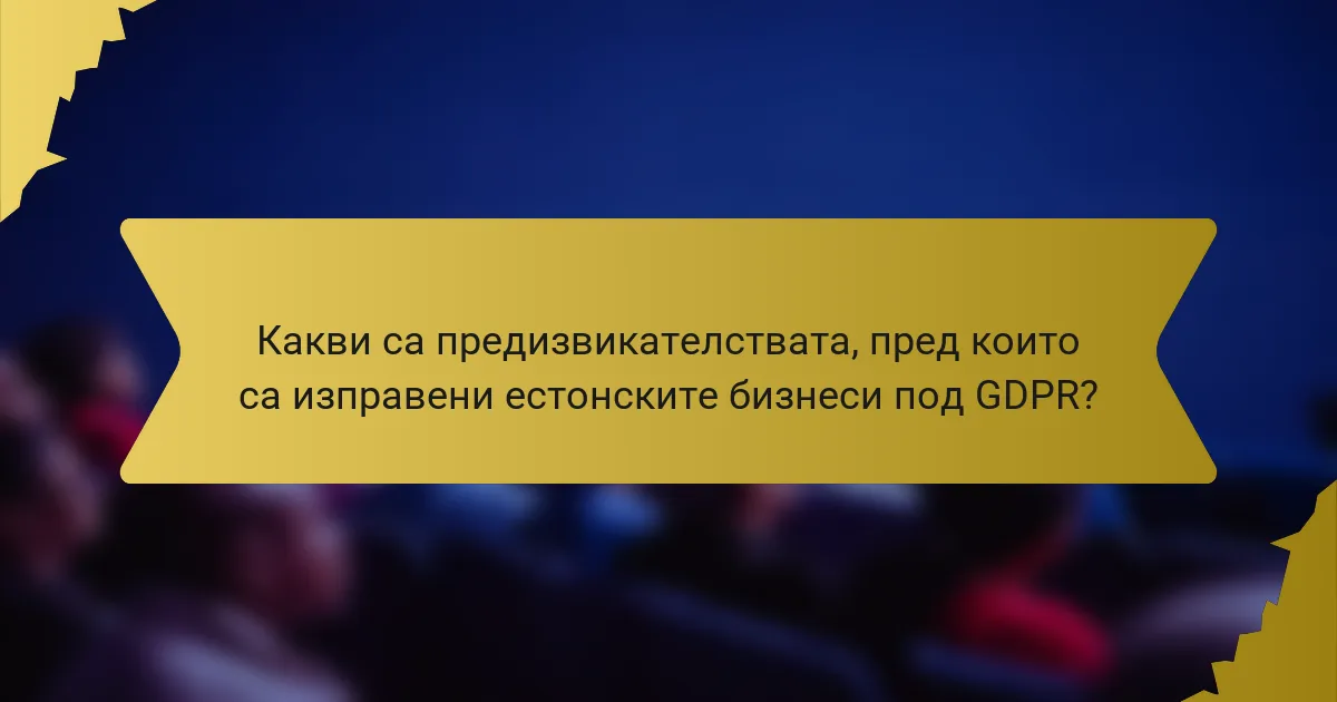 Какви са предизвикателствата, пред които са изправени естонските бизнеси под GDPR?