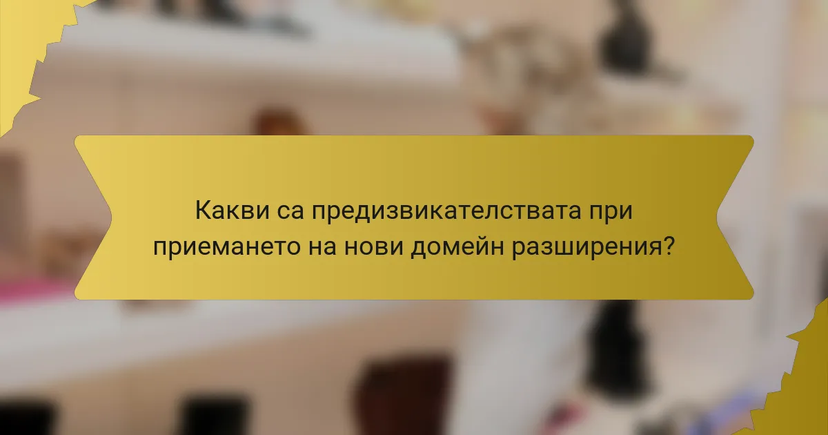 Какви са предизвикателствата при приемането на нови домейн разширения?