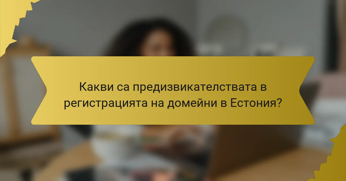 Какви са предизвикателствата в регистрацията на домейни в Естония?