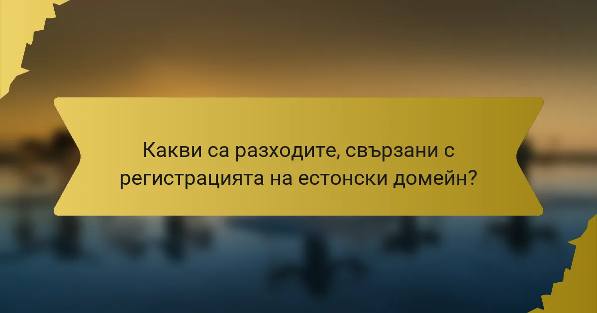Какви са разходите, свързани с регистрацията на естонски домейн?