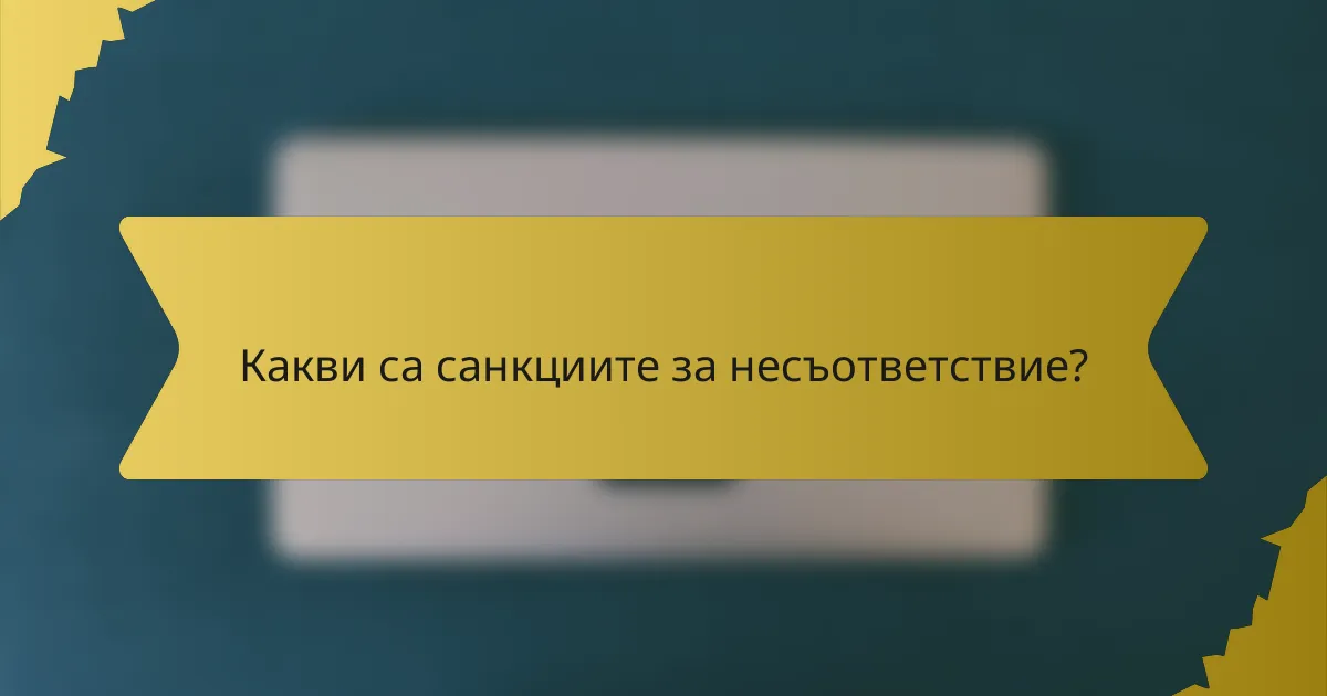 Какви са санкциите за несъответствие?