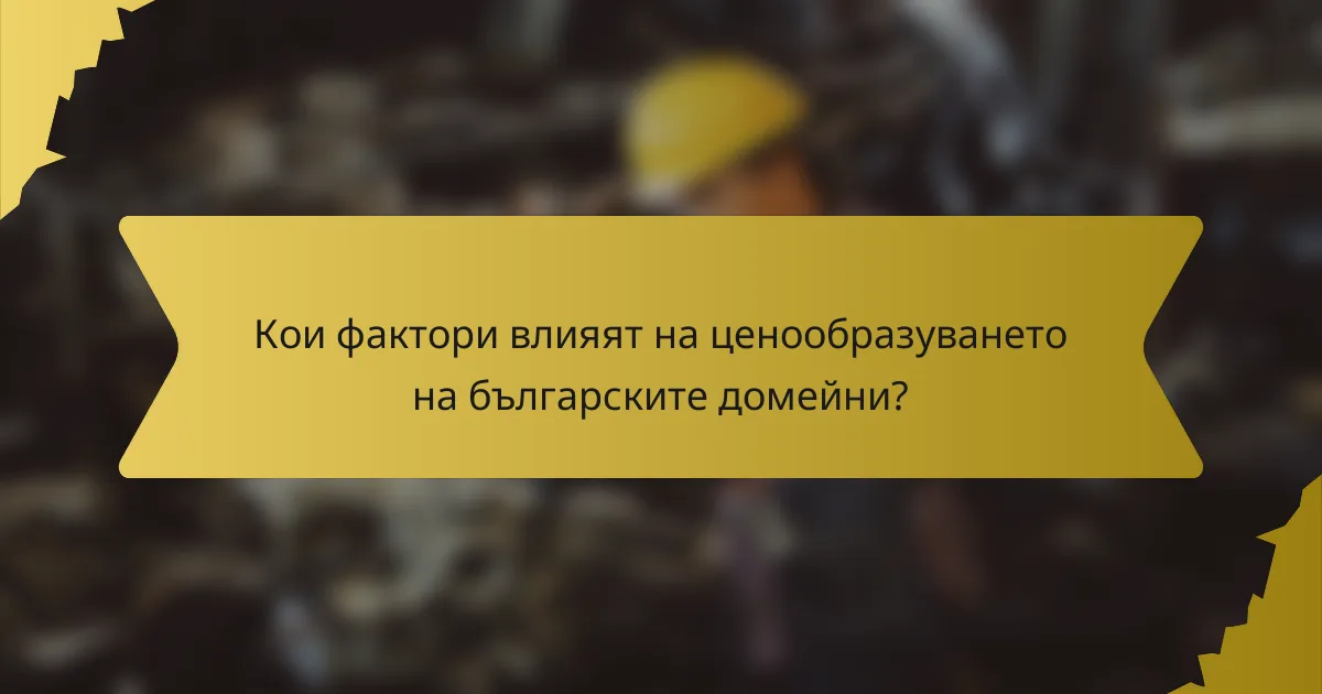 Кои фактори влияят на ценообразуването на българските домейни?